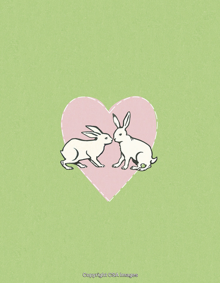 Two Rabbits Facing Each Other Inside a Pink Heart on Green Background