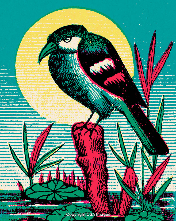 Vibrant Bird Illustration on a Perch with Retro-Style Sunlit Background