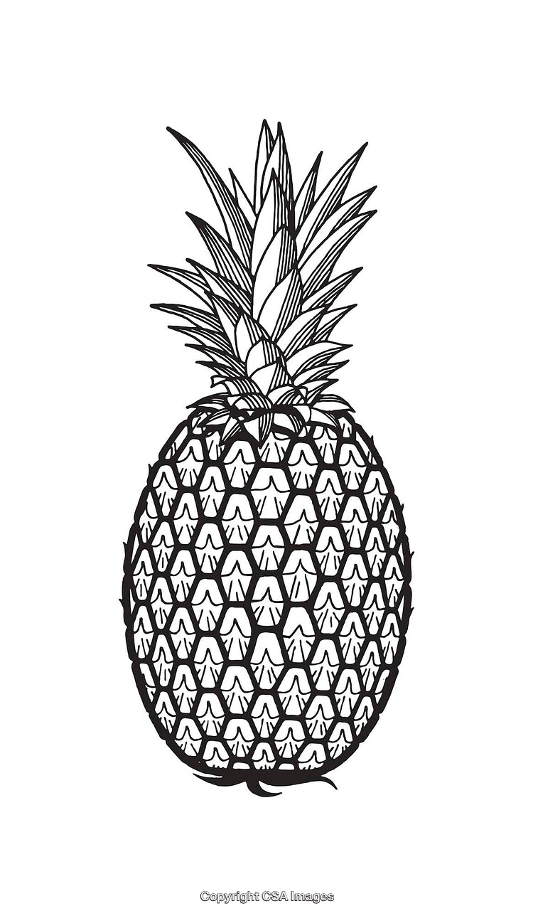 Black and White Line Art of a Pineapple Illustration