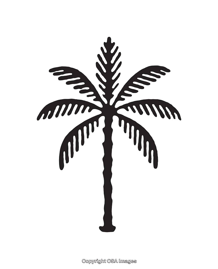 Black and White Palm Tree Illustration with Simple Line Art Design