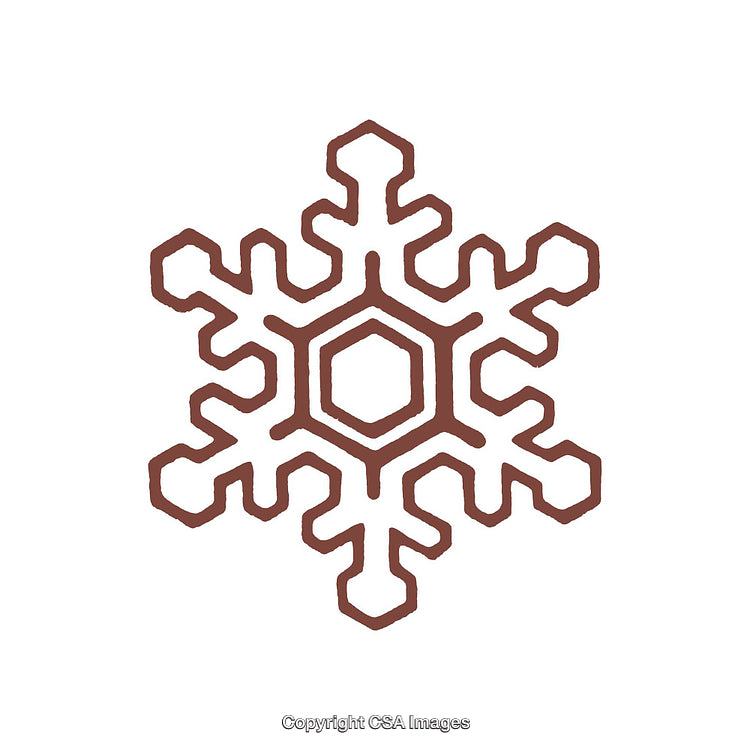 Stylized Brown Snowflake Symbol with Geometric Design on White Background