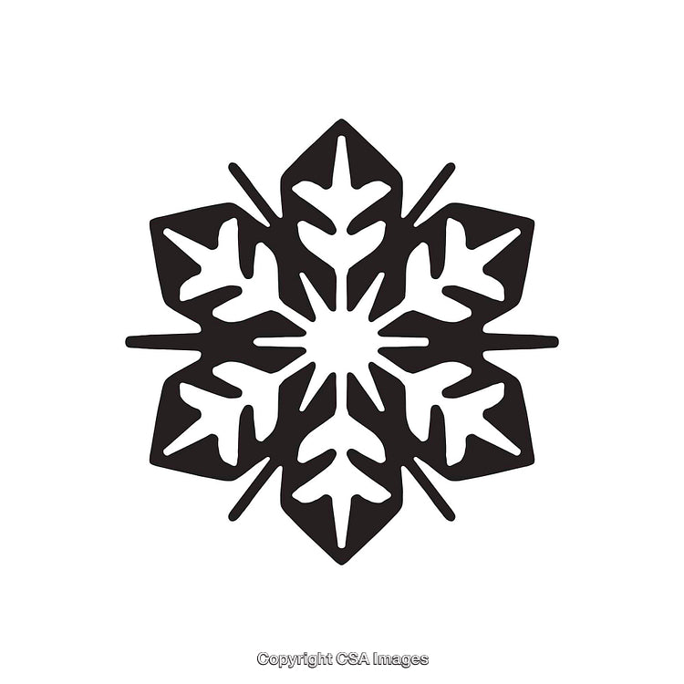 Geometric Black and White Snowflake Icon with Symmetrical Patterns