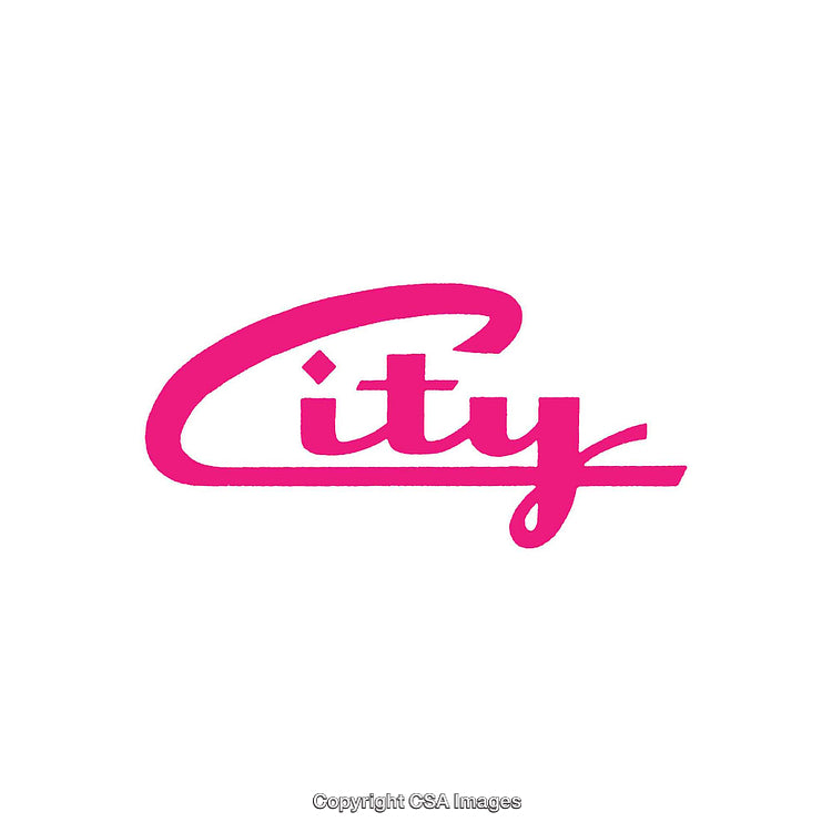 Stylized Pink Script Text Logo Featuring Artistic Lettering Design