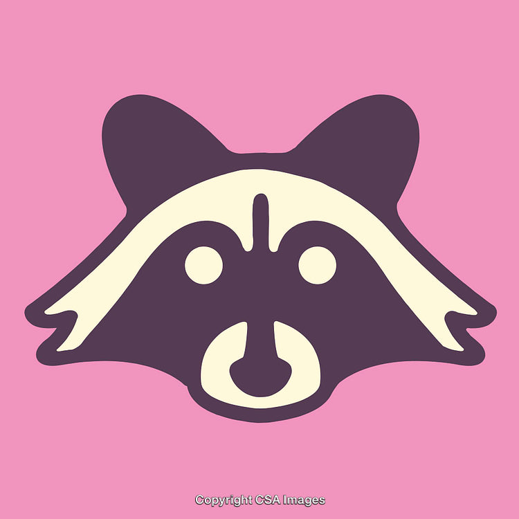 Minimalistic Illustration of a Raccoon Face on a Pink Background