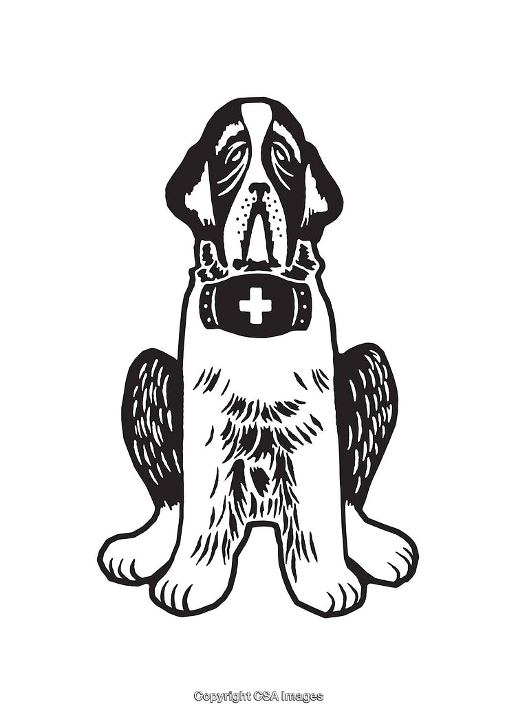 Black And White Line Art Illustration of a Rescue St. Bernard Dog