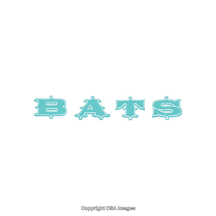 Stylish Blue Decorative Font Showing the Word Bats on White Background