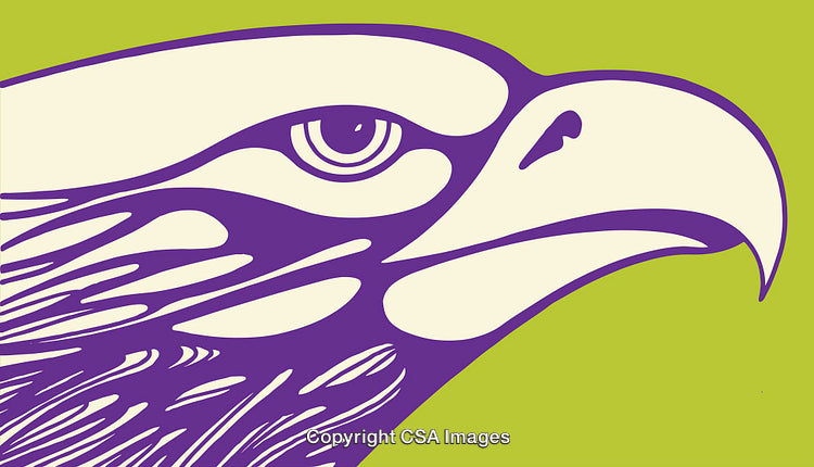 Colorful Eagle Illustration with Vibrant Purple and Green Tones