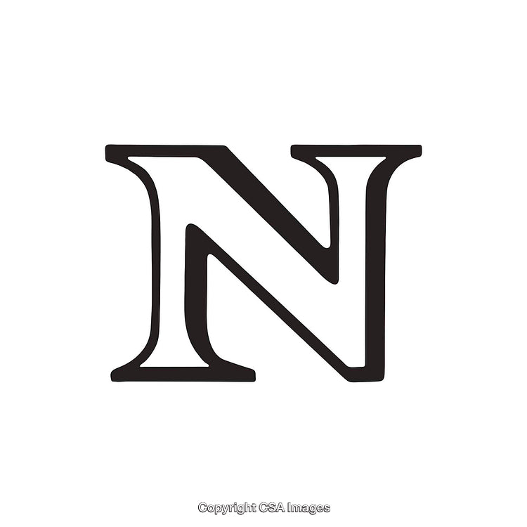 Elegant Black Letter 'N' in Bold Serif Font on White Background