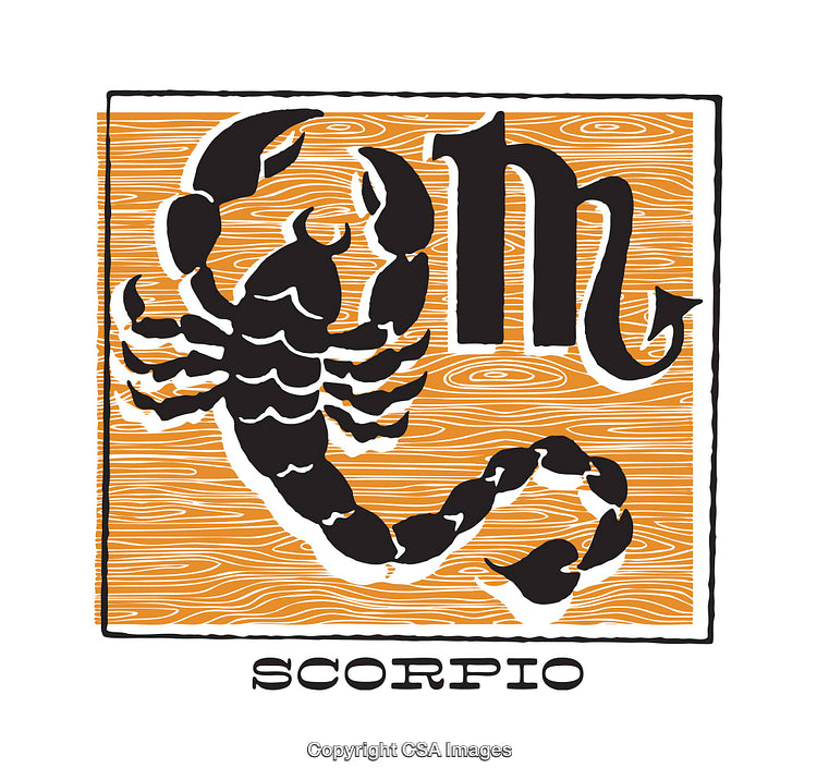 Handcrafted Artistic Scorpio Zodiac Illustration with Scorpion Symbol