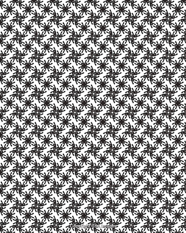 Abstract Black and White Repeating Pattern with Floral Elements