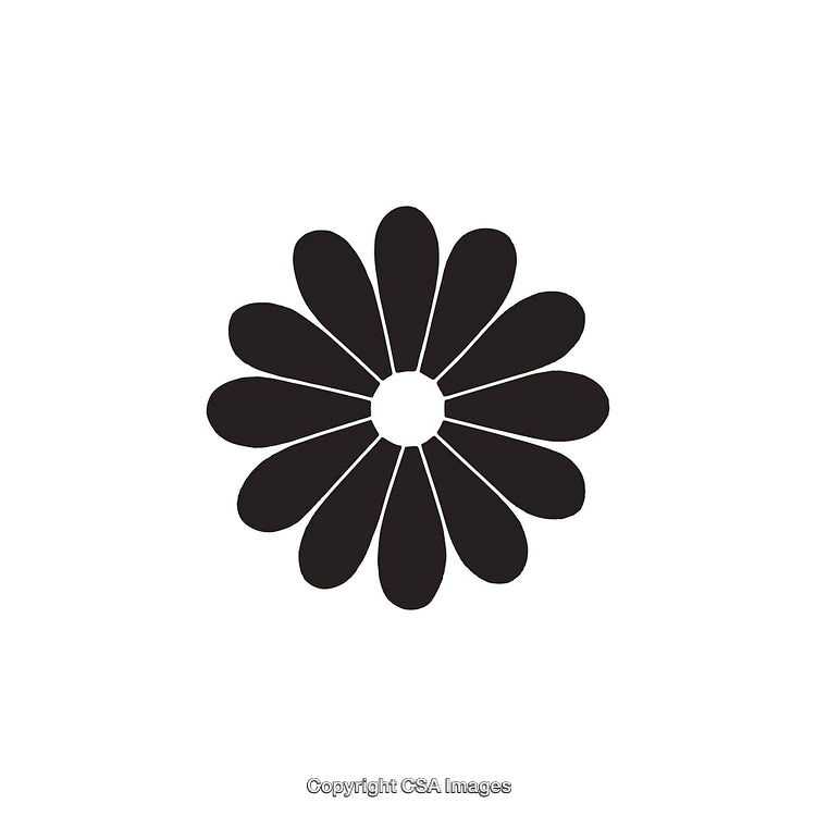 Abstract Black and White Flower Design with Petals Symmetrically Arranged