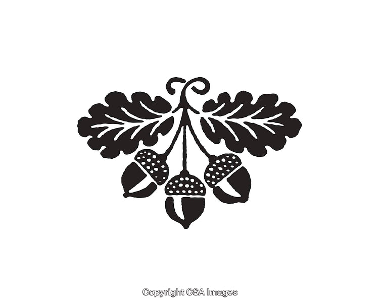 Black and White Line Art of Oak Leaves and Acorns in Nature Motif