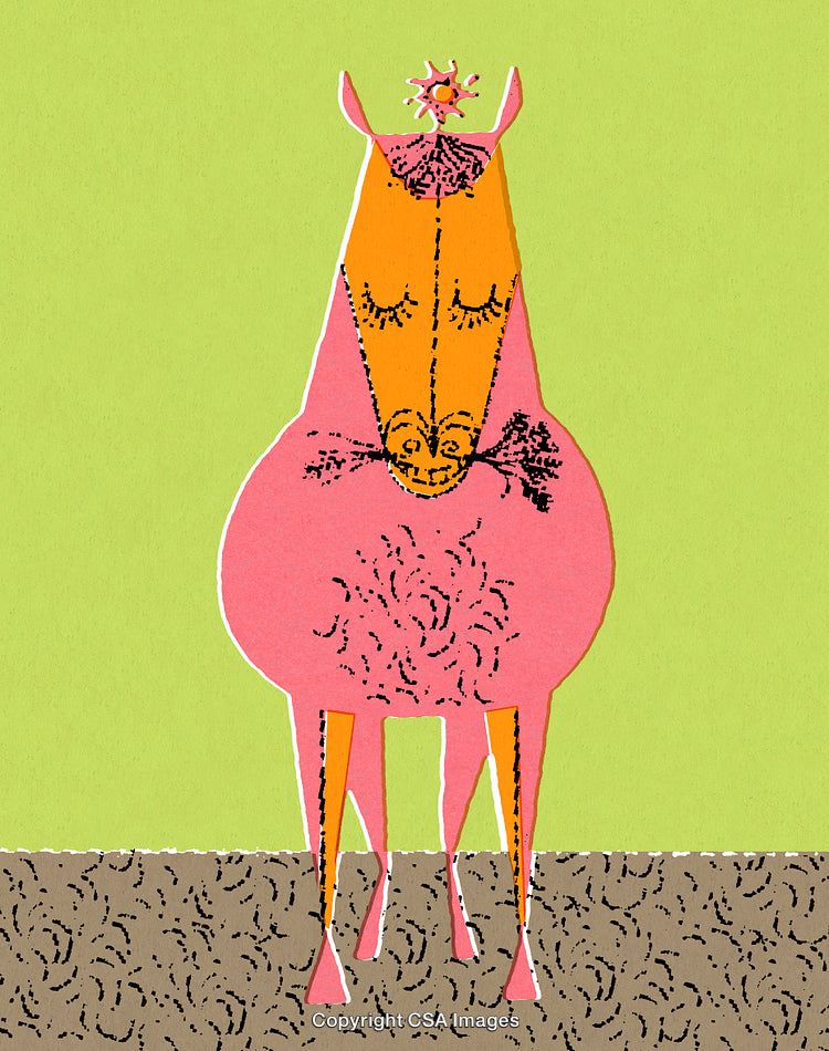 Colorful Abstract Illustration of a Horse with a Playful Style