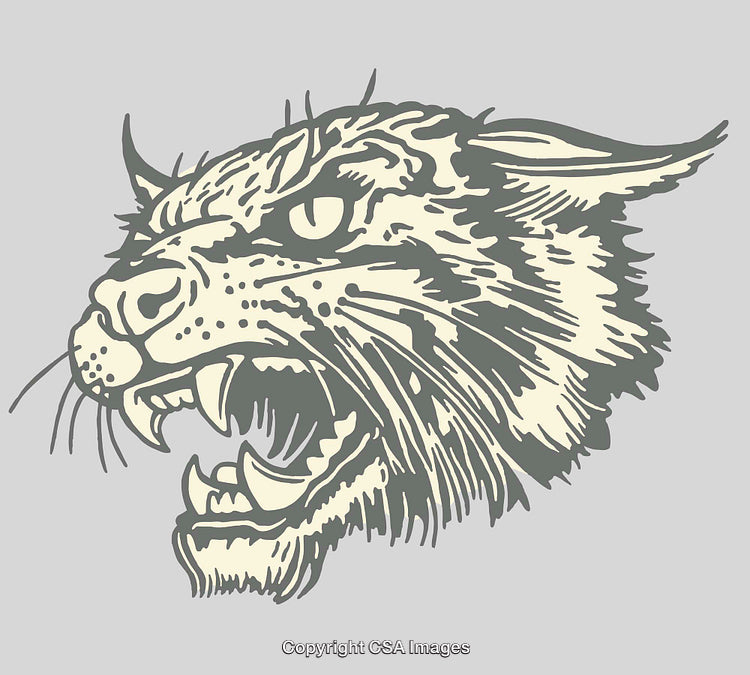 Fierce Wildcat Head in Dynamic Line Art Illustration