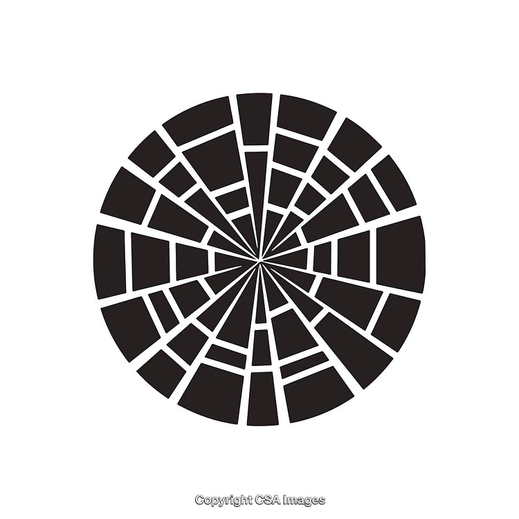 Abstract Circular Black and White Geometric Illustration with Fragmented Design
