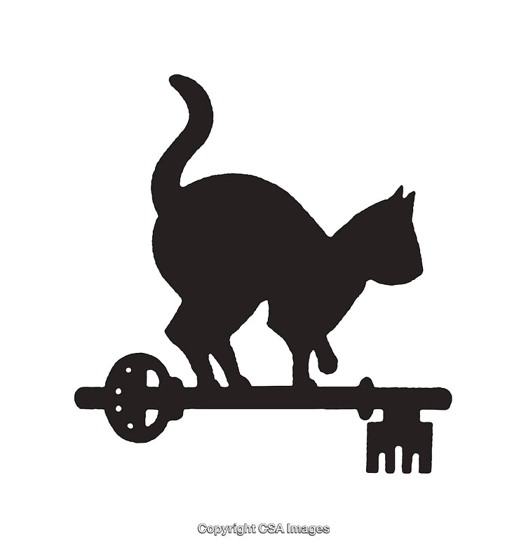 Silhouette of a Cat Sitting on a Key in Black and White Art