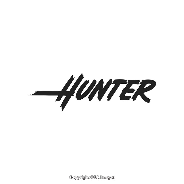 Boldly Stylized Text Reading 'Hunter' in Brush-Style Calligraphic Font