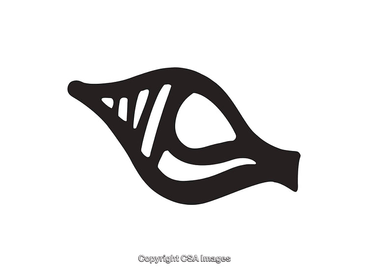 Abstract Black and White Line Art in Organic Curved Design