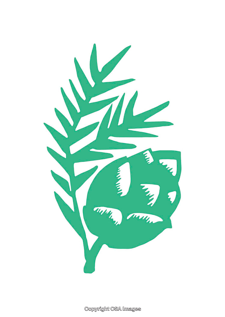 Abstract Hand-Drawn Green Floral and Leaf Botanical Illustration on White Background