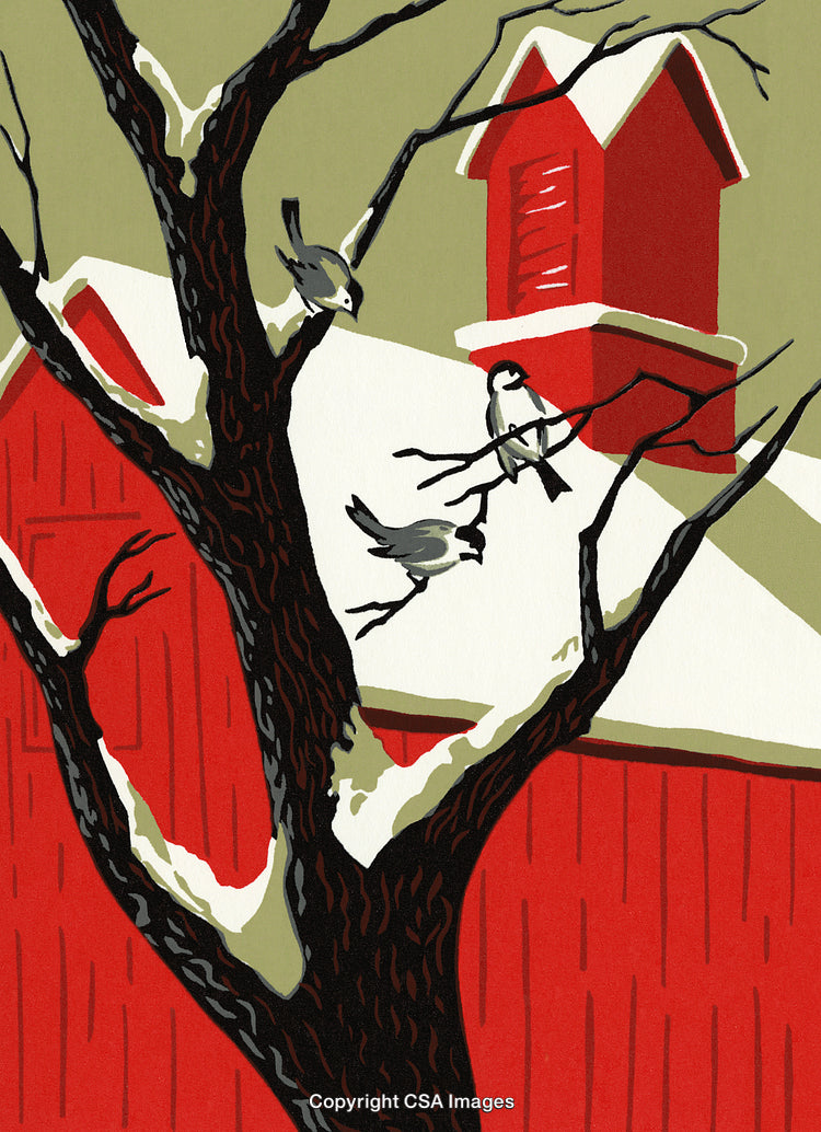 Winter Scene with Snow-Covered Tree and Small Birds Near a Red Barn