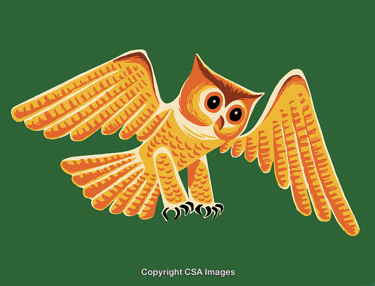 Vibrant Illustration of an Owl in Flight Against Green Background