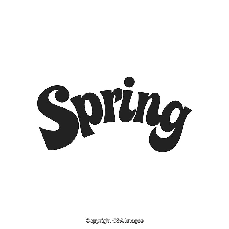 Stylized 'Spring' Text Design with Curved Display Typography