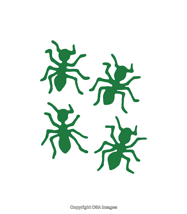 Green Ant Icons in Simple Artistic Style on White Background