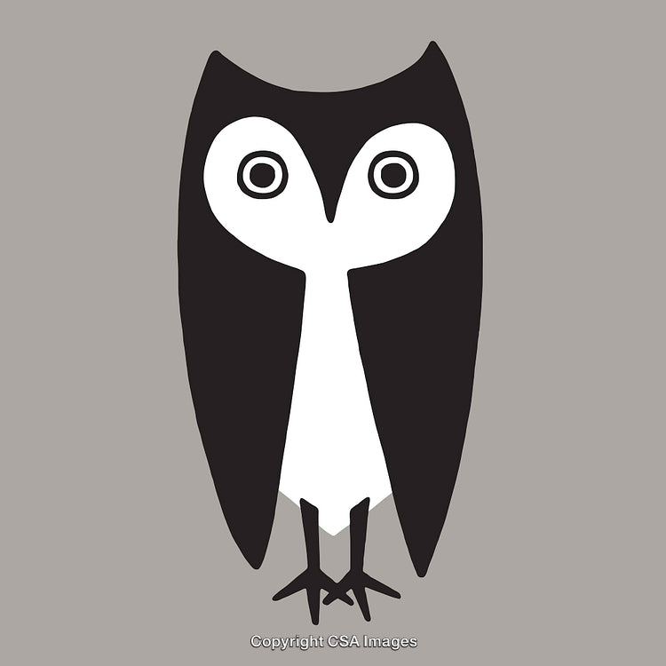 Abstract Owl Line Art Illustration in Black and White on Gray Background
