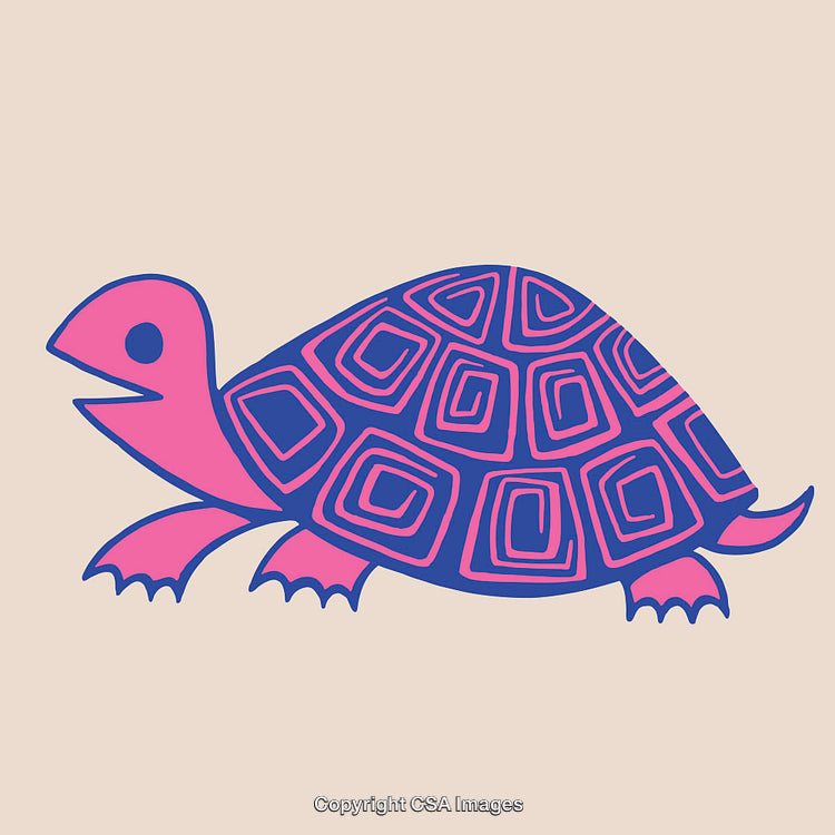 Colorful Line Art Illustration of a Happy Tortoise