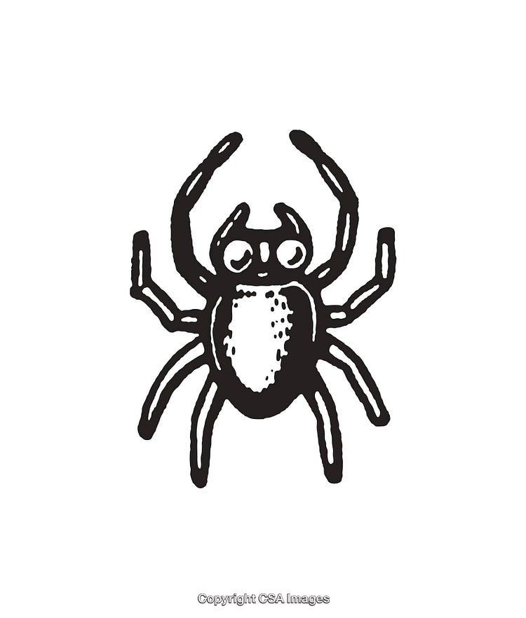 Black and White Line Art of Spider Illustration