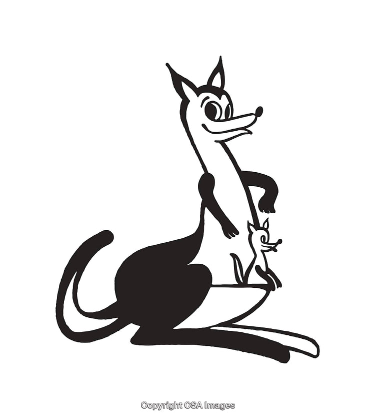 Playful Black and White Kangaroo with Joey Illustration