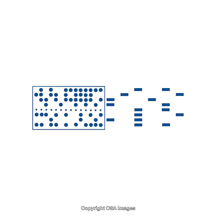 Abstract Data Representation with Grid and Symbol Shapes on White Background