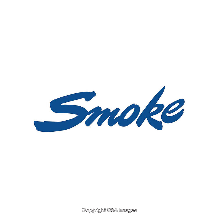 Blue Smoke Styled Text Logo on White Background