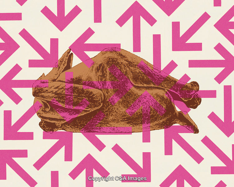 Abstract Art Featuring a Rotisserie Chicken with Bold Pink Arrows Background