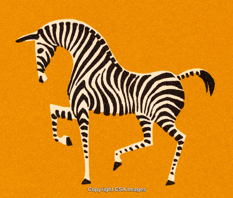 Illustrated Zebra on Bold Orange Background in Stylized Artistic Design
