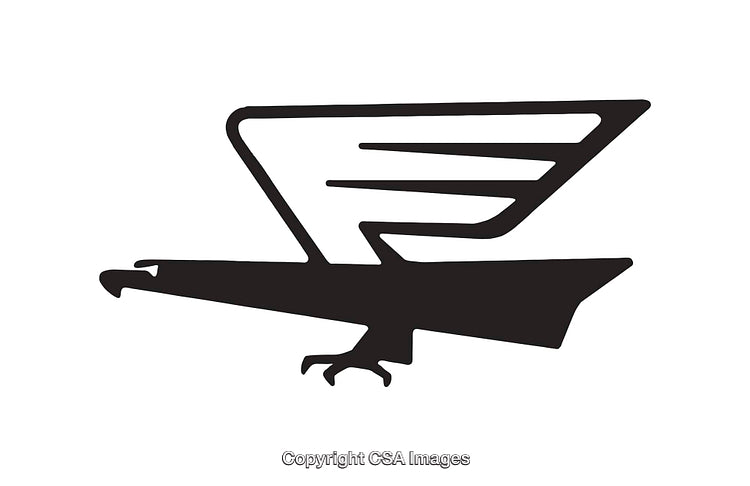 Stylized Black and White Eagle Symbol with Abstract Design Elements
