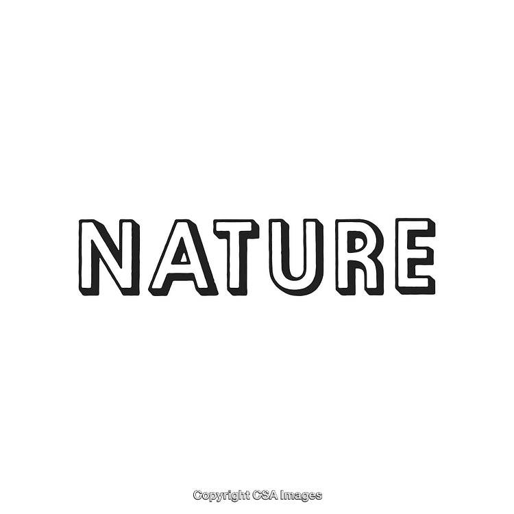 Bold Hand-Drawn 'Nature' Typography on White Background