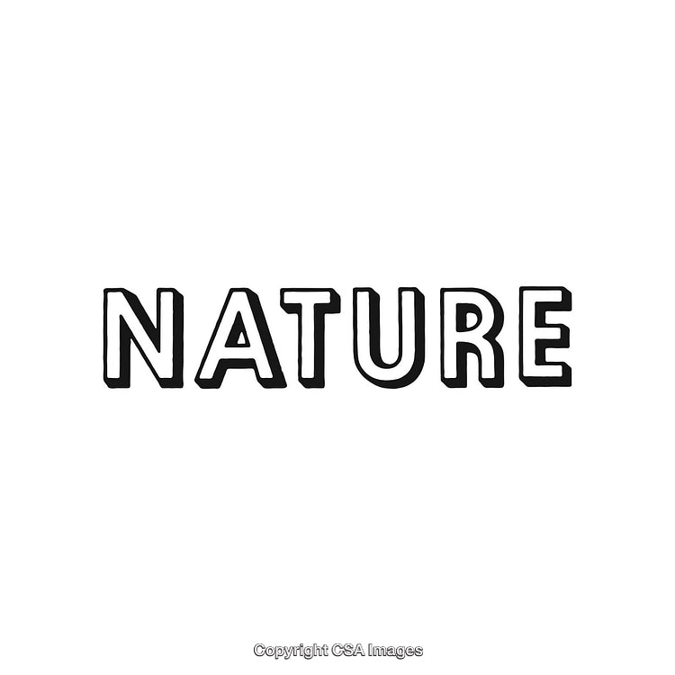 Bold Hand-Drawn 'Nature' Typography on White Background