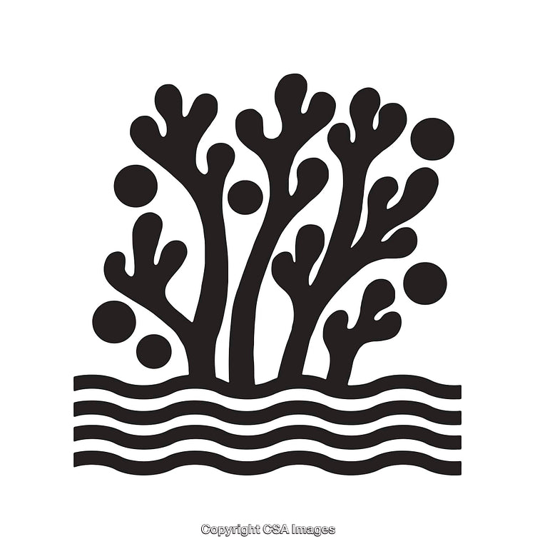 Abstract Organic Line Art Coral Illustration With Clean Design