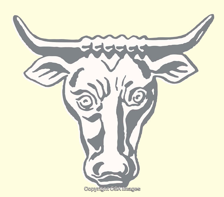 Minimalist Line Art Illustration of a Bull Head in Grey