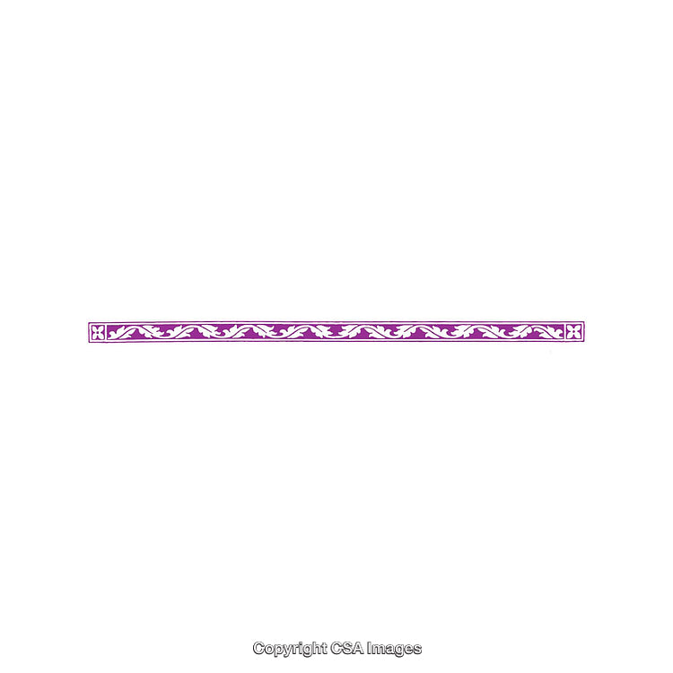 Purple Ornamental Border With Intricate Floral Design on White Background