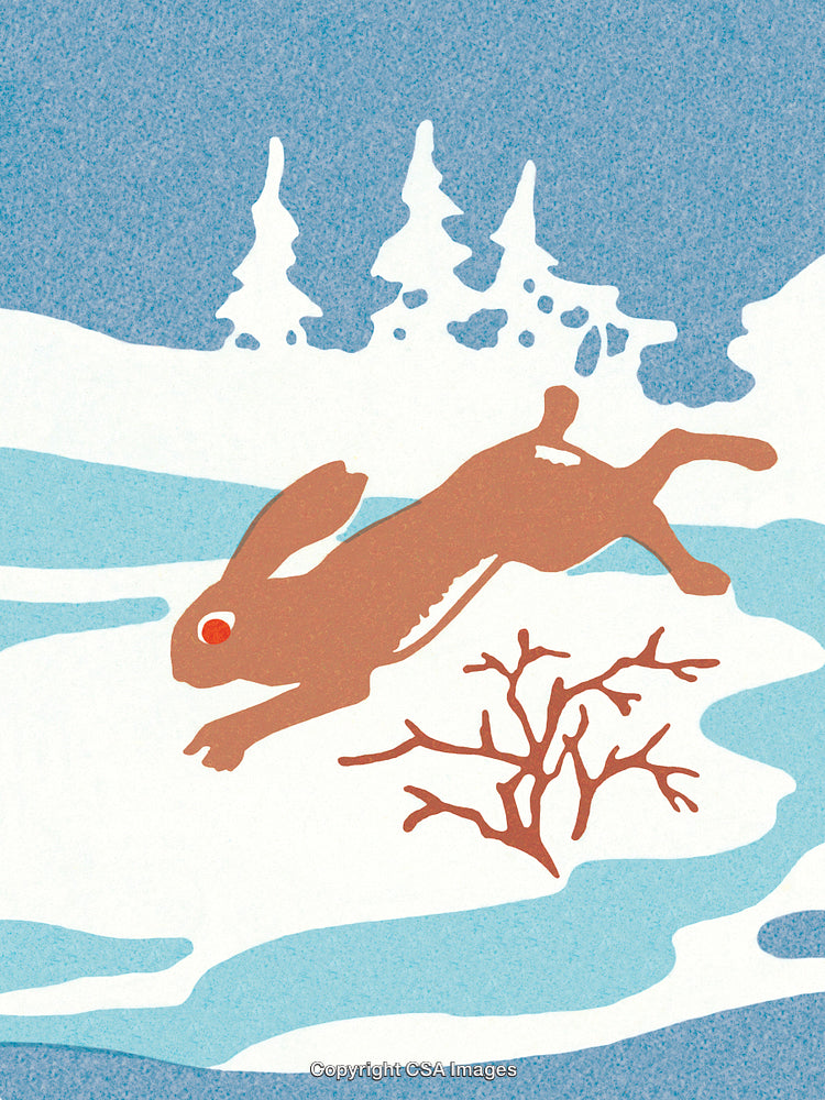 Snowy Forest Scene Featuring a Hare Jumping Near Winter Vegetation