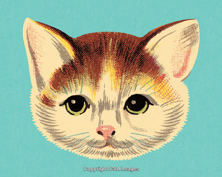 Vintage Illustrated Cat Face with a Retro Blue Background
