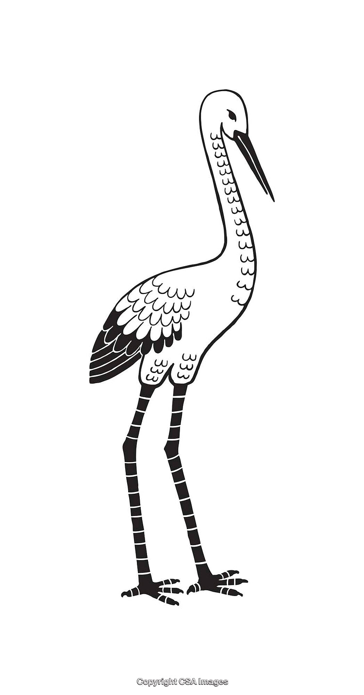 Elegant Line Art Crane Illustration in Black and White Style