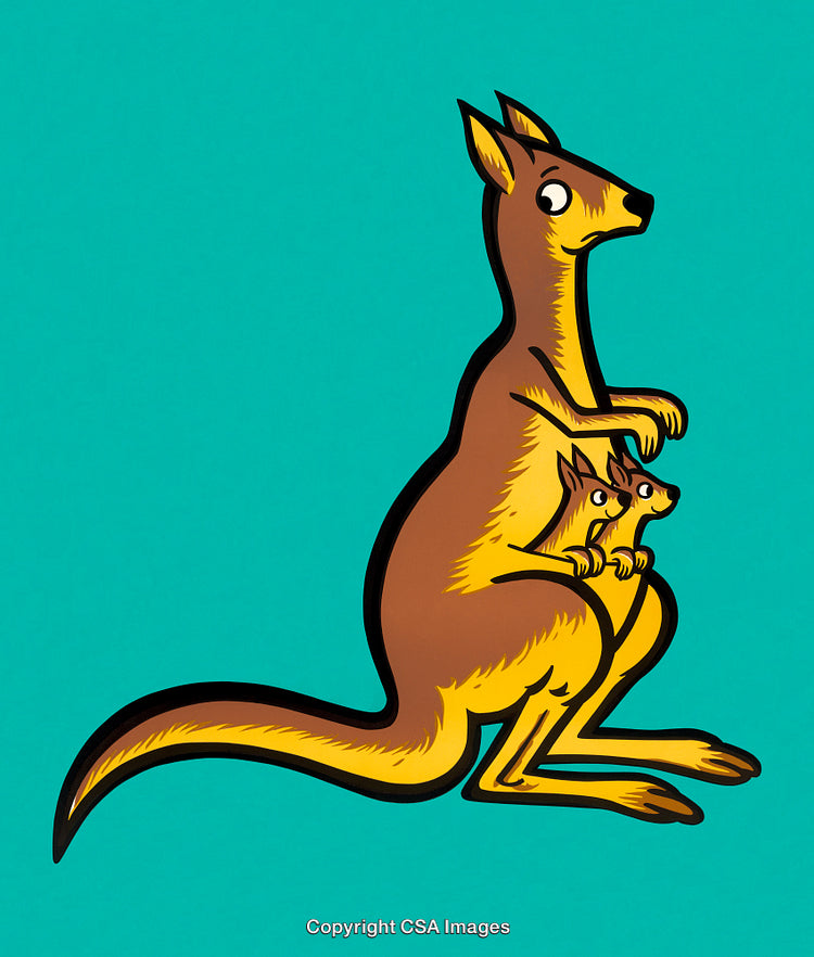 Illustration of Mother Kangaroo with Two Joeys on Vibrant Teal Background