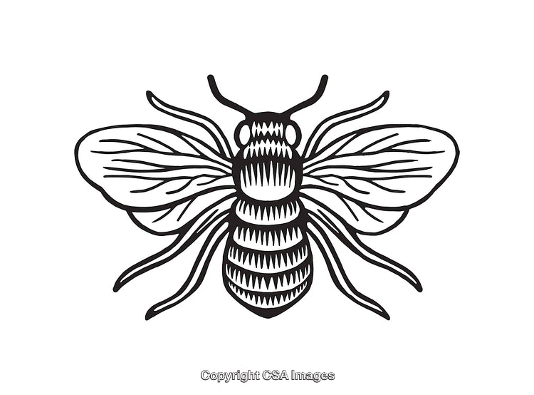 Black and White Line Art Illustration of a Bumblebee