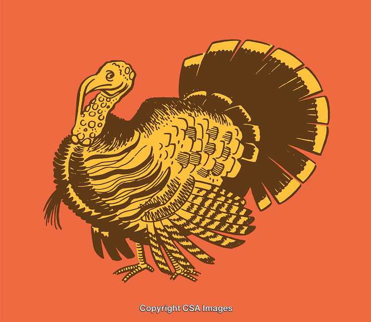 Detailed Vintage Illustration of a Turkey on an Orange Background