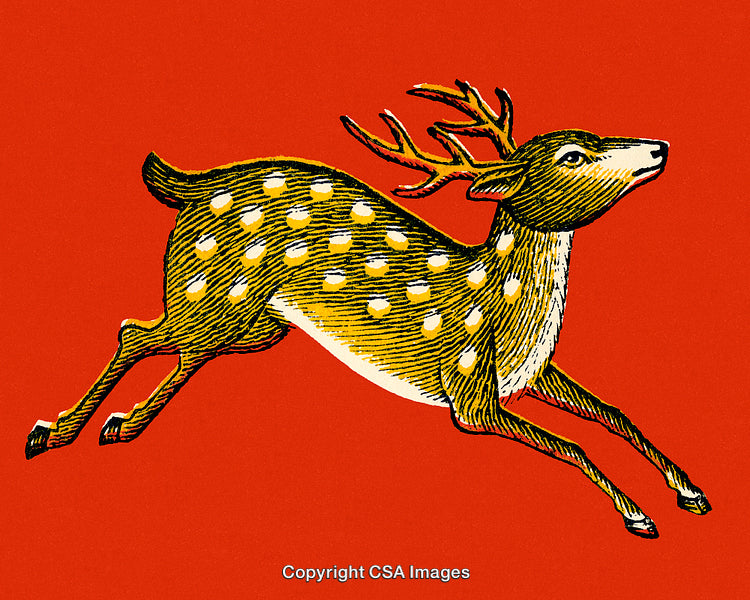 Detailed Illustration of a Deer on a Red Background in Traditional Art Style