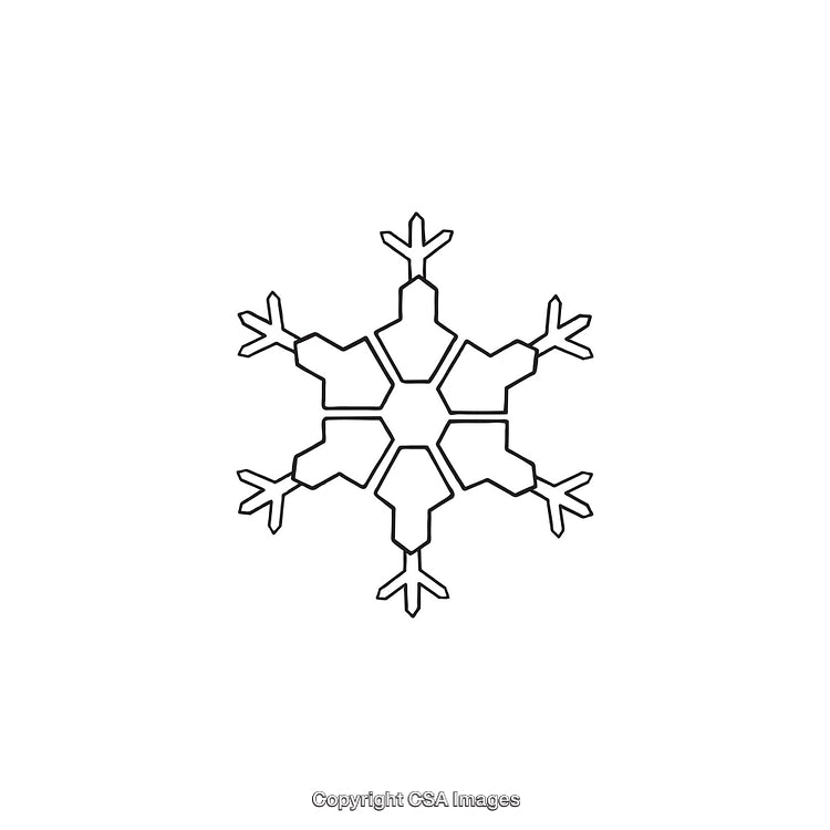 Simple Black and White Snowflake Dingbat Shape Illustration