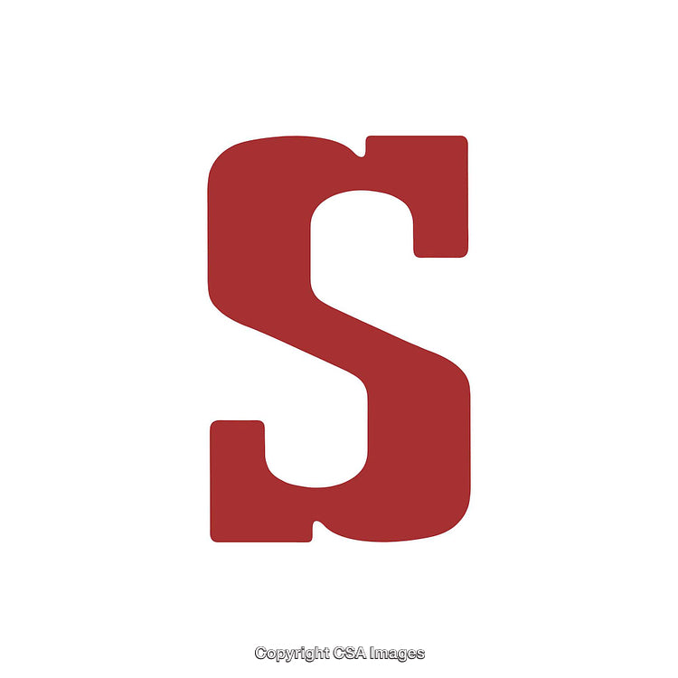 Bold Red Serif Letter S on White Background